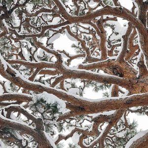 Meet your Posher, Jeremy